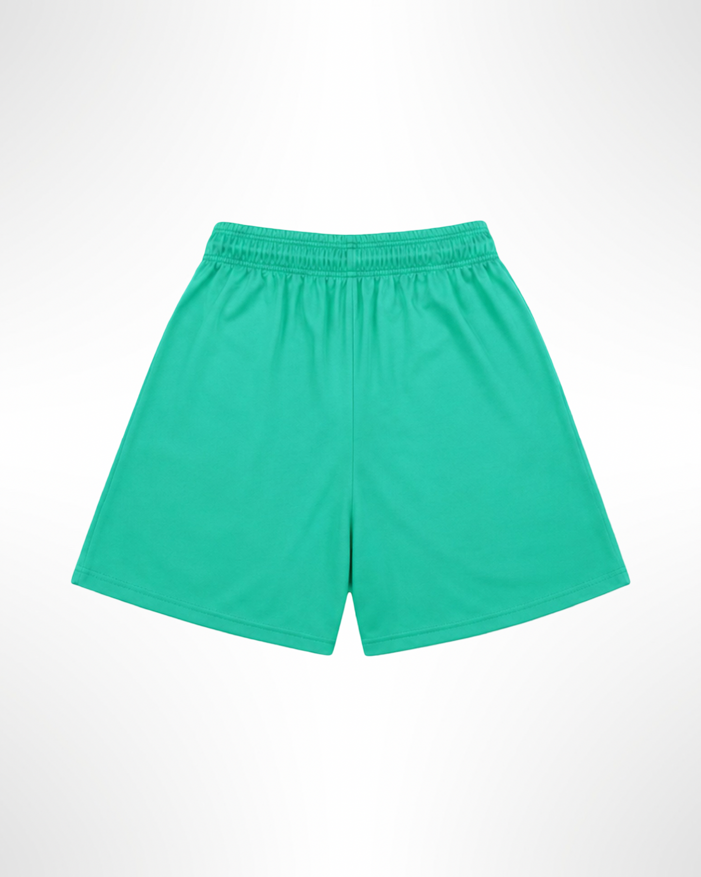 F&C “Charlotte Hornets” Pack Mesh Shorts