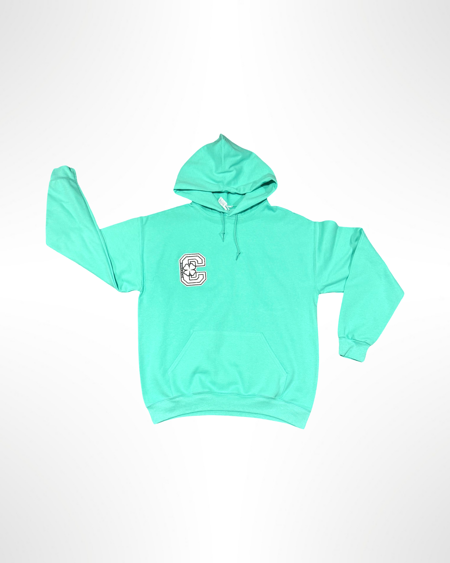 F&C Cool Mint “Big C”Hoodie